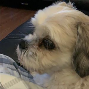 Meet your Posher, Shannon